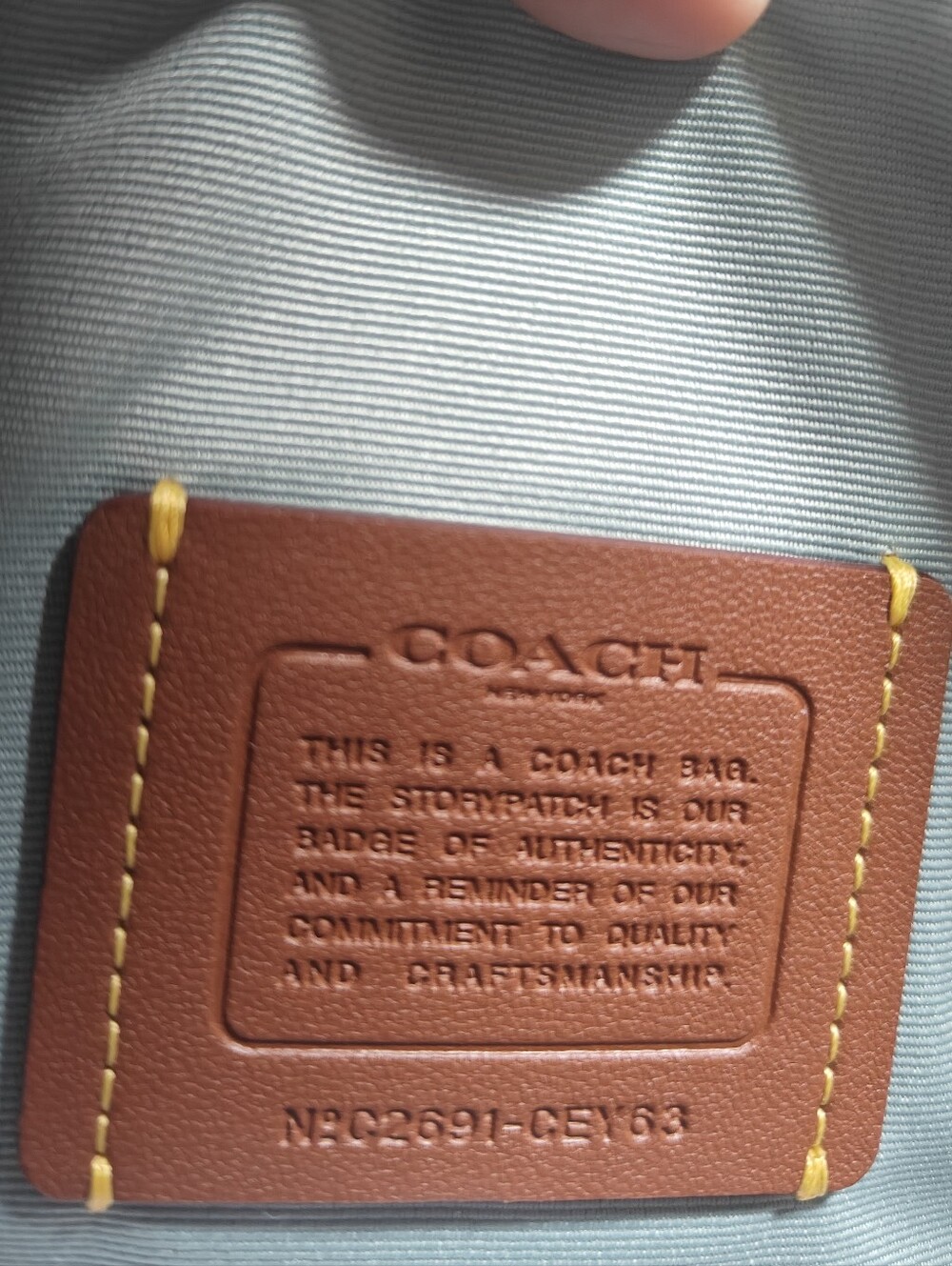 Coach Mini Rowan Crossbody BagIn Signature Canvas (Light blue) - Picture 8 of 14